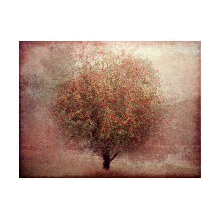 Katarina Holmstrom 'Apple Tree' Canvas Art, 18x24